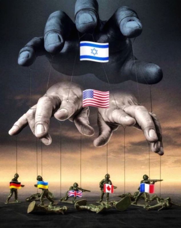 Bibi